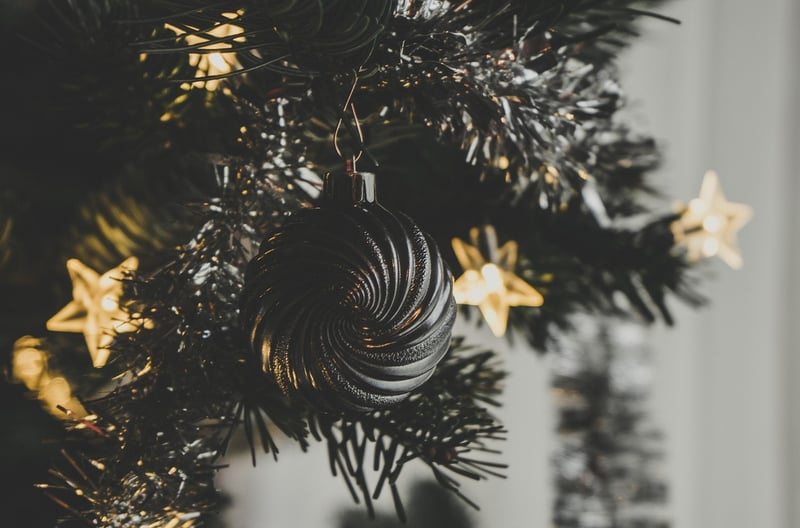 Winter Display